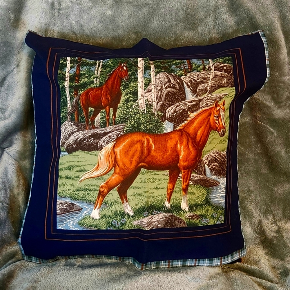 Throw Pillow